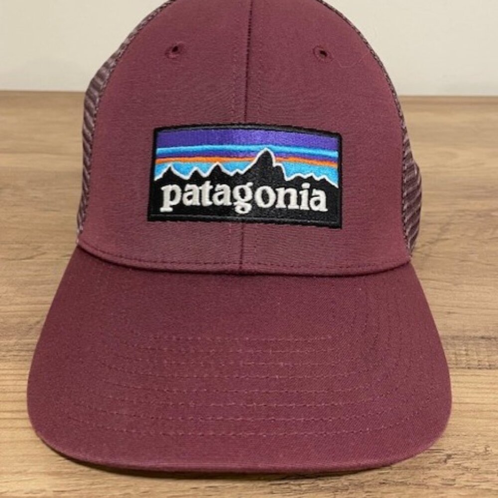 Patagonia Trucker Hat